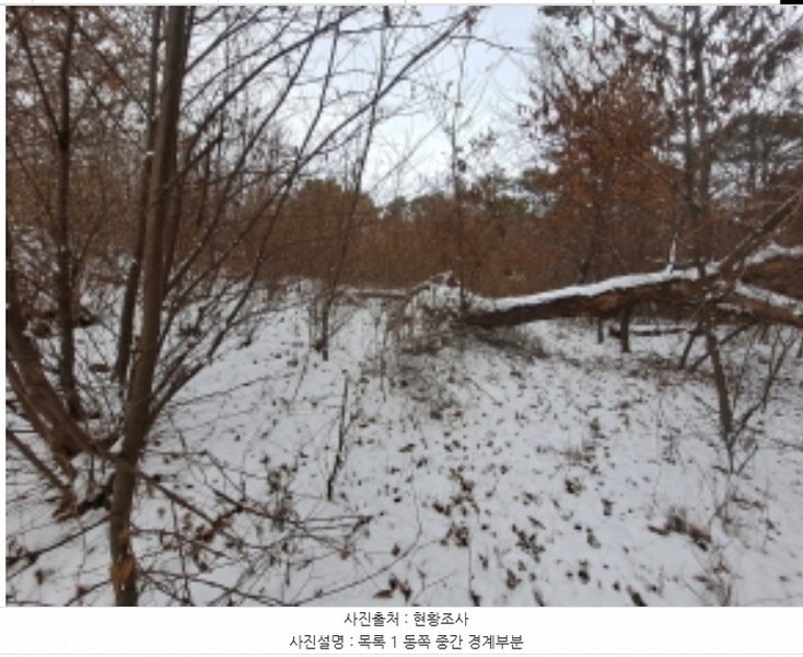 2024타경62217 충청남도 당진시 송악읍 월곡리 산48-4 임야 경매 이미지