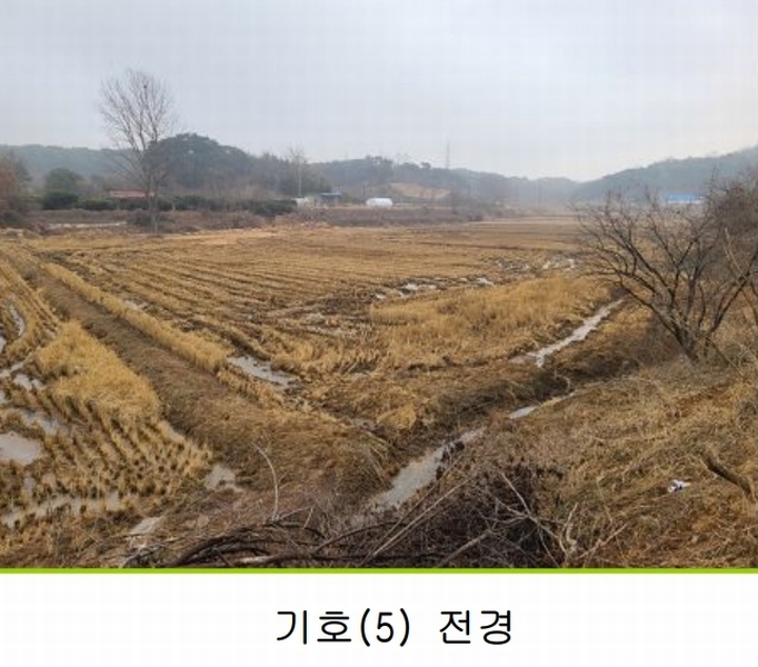 2025타경94 충청남도 당진시 송악읍 석포리 384 농지 경매 이미지