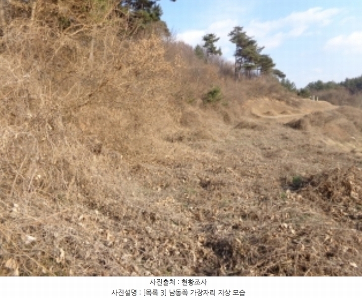 2025타경50266 충청남도 태안군 소원면 소근리 156-10 임야 경매 이미지