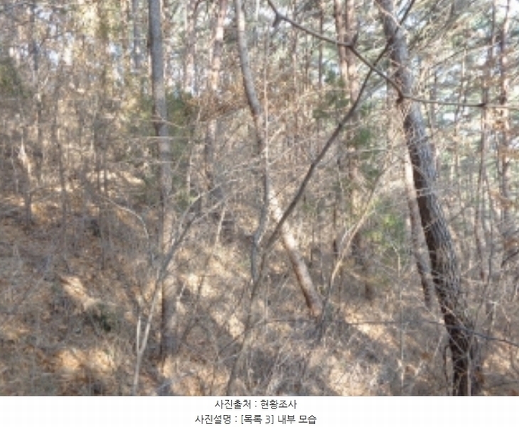 2025타경50266 충청남도 태안군 소원면 소근리 156-10 임야 경매 이미지
