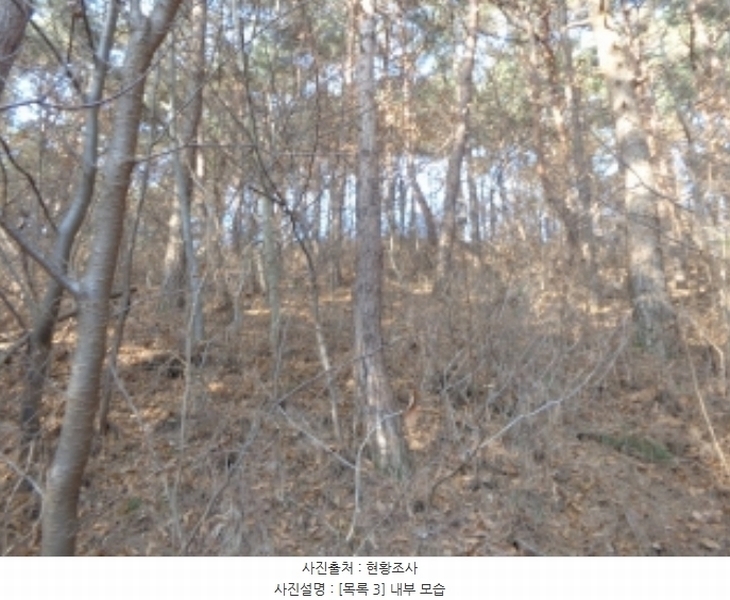2025타경50266 충청남도 태안군 소원면 소근리 156-10 임야 경매 이미지