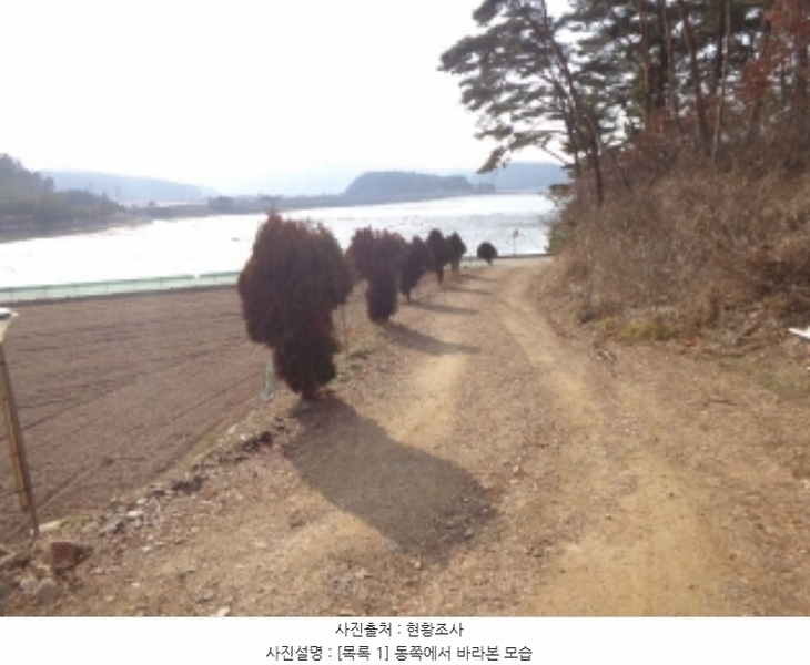 2025타경50266 충청남도 태안군 소원면 소근리 156-10 임야 경매 이미지