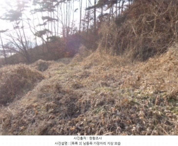 2025타경50266 충청남도 태안군 소원면 소근리 156-10 임야 경매 이미지