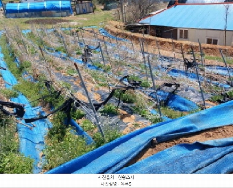 2025타경51149 충청남도 서산시 운산면 와우리 668-2 농지 경매 이미지
