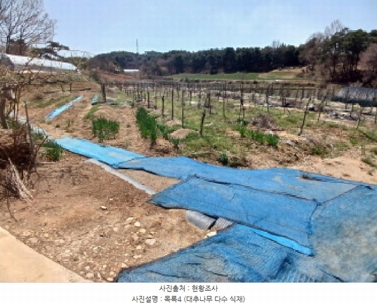 2025타경51149 충청남도 서산시 운산면 와우리 668-2 농지 경매 이미지