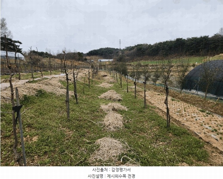 2025타경51149 충청남도 서산시 운산면 와우리 668-2 농지 경매 이미지
