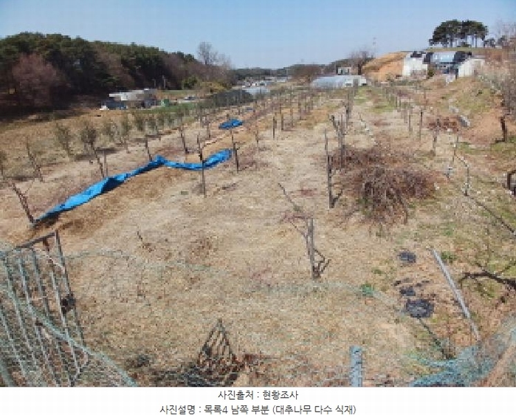 2025타경51149 충청남도 서산시 운산면 와우리 668-2 농지 경매 이미지