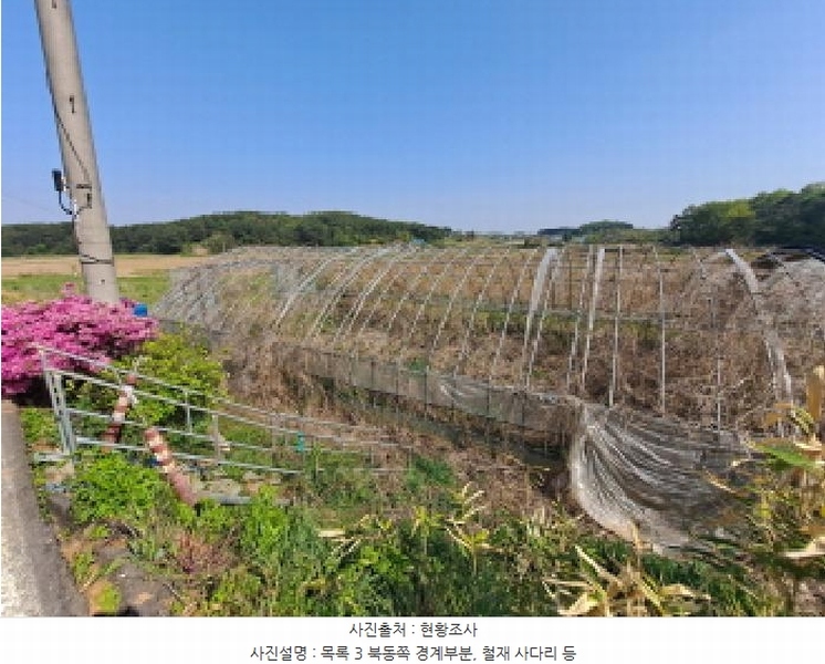 2025타경51241 충청남도 당진시 송악읍 오곡리 165-1 농지 경매 이미지