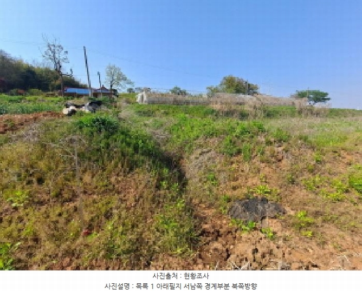 2025타경51241 충청남도 당진시 송악읍 오곡리 165-1 농지 경매 이미지
