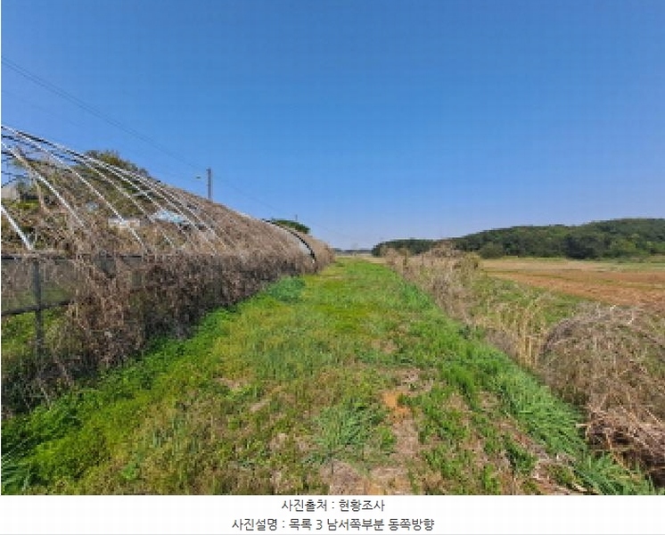 2025타경51241 충청남도 당진시 송악읍 오곡리 165-1 농지 경매 이미지