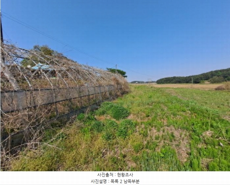 2025타경51241 충청남도 당진시 송악읍 오곡리 165-1 농지 경매 이미지