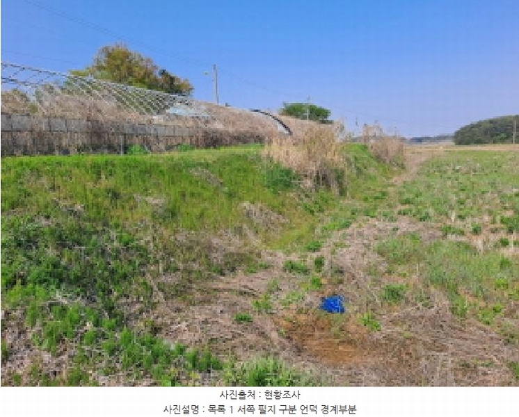 2025타경51241 충청남도 당진시 송악읍 오곡리 165-1 농지 경매 이미지