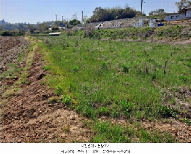 2025타경51241 충청남도 당진시 송악읍 오곡리 165-1 농지 경매 이미지