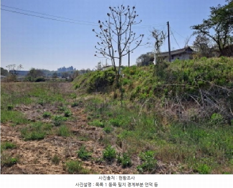 2025타경51241 충청남도 당진시 송악읍 오곡리 165-1 농지 경매 이미지