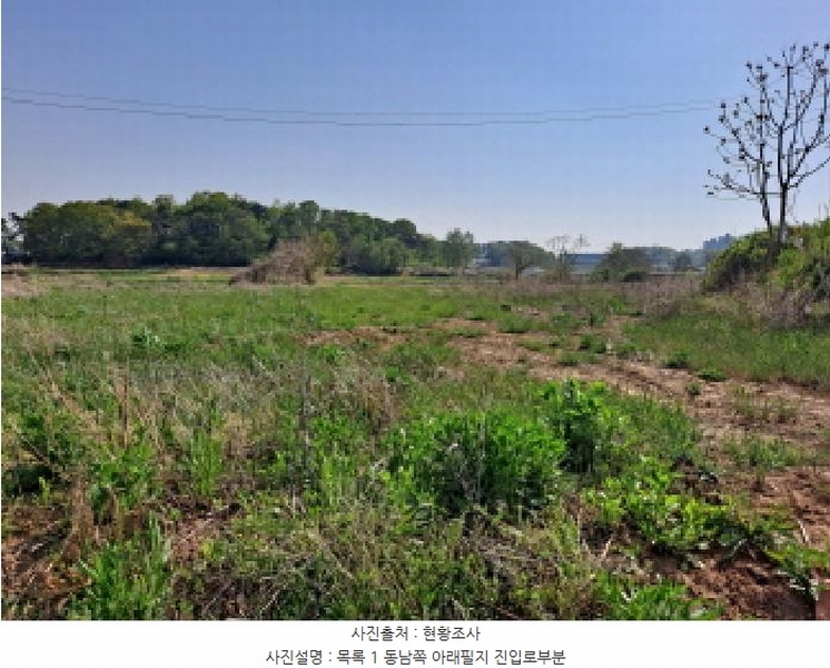2025타경51241 충청남도 당진시 송악읍 오곡리 165-1 농지 경매 이미지