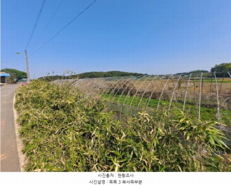2025타경51241 충청남도 당진시 송악읍 오곡리 165-1 농지 경매 이미지