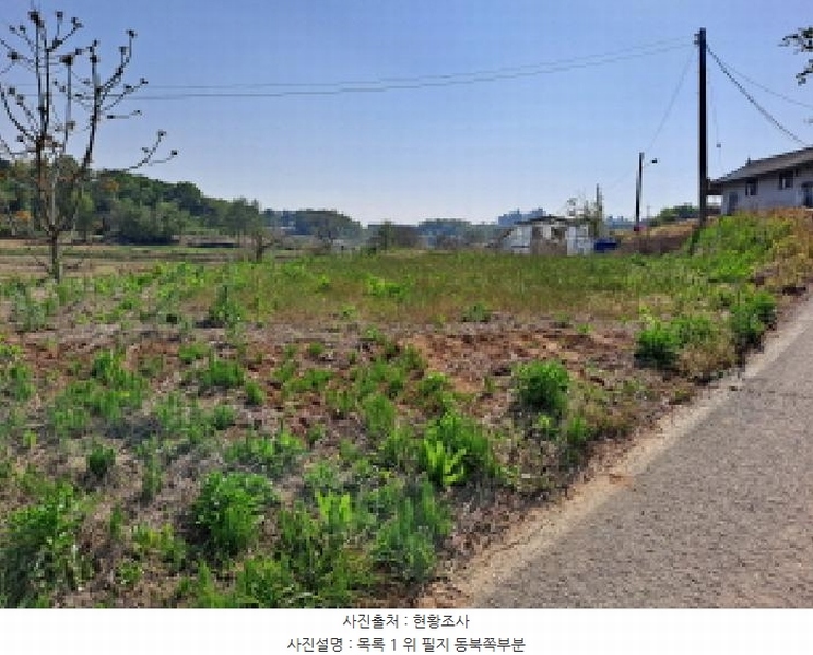 2025타경51241 충청남도 당진시 송악읍 오곡리 165-1 농지 경매 이미지