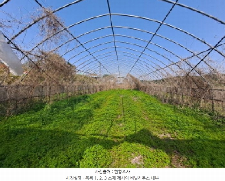 2025타경51241 충청남도 당진시 송악읍 오곡리 165-1 농지 경매 이미지