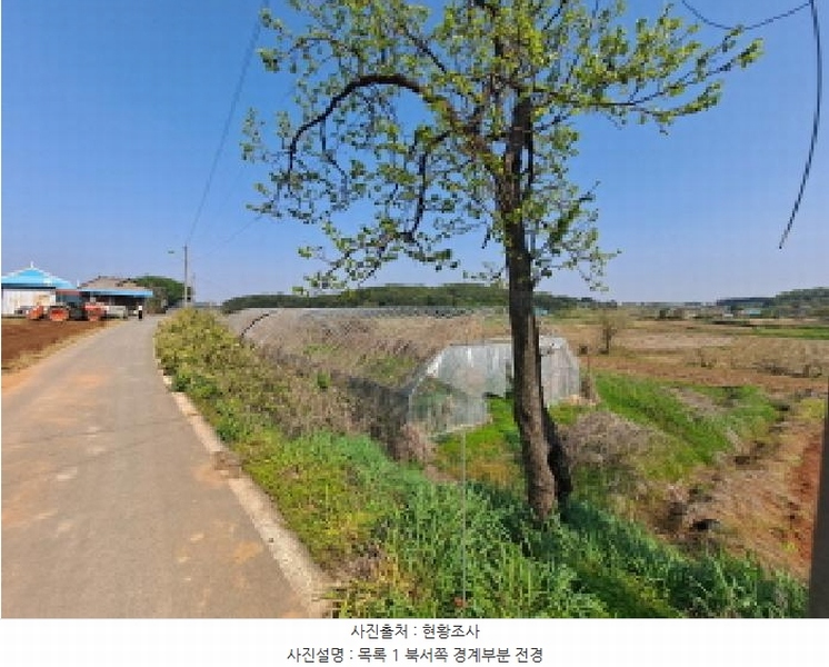 2025타경51241 충청남도 당진시 송악읍 오곡리 165-1 농지 경매 이미지