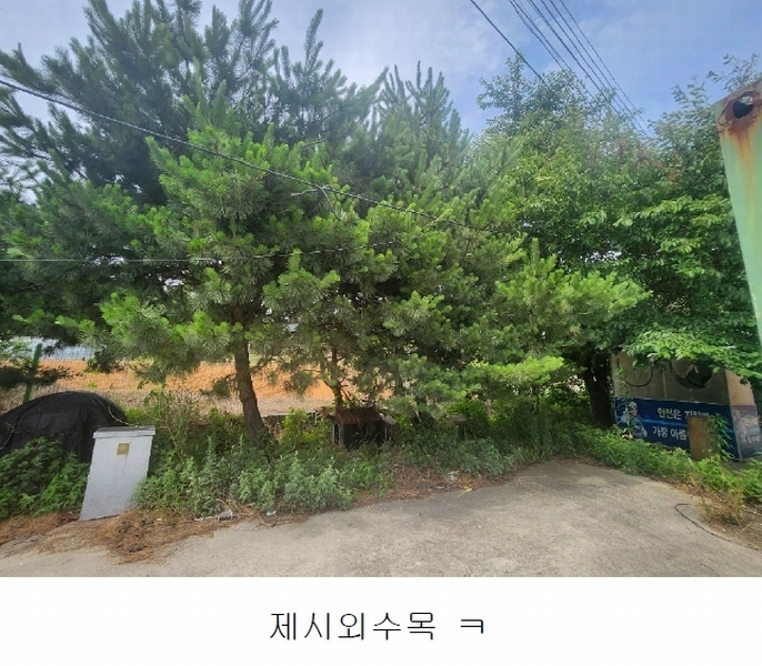 2023타경51531 충청남도 당진시 송악읍 석포리 282-35 공장 경매 이미지