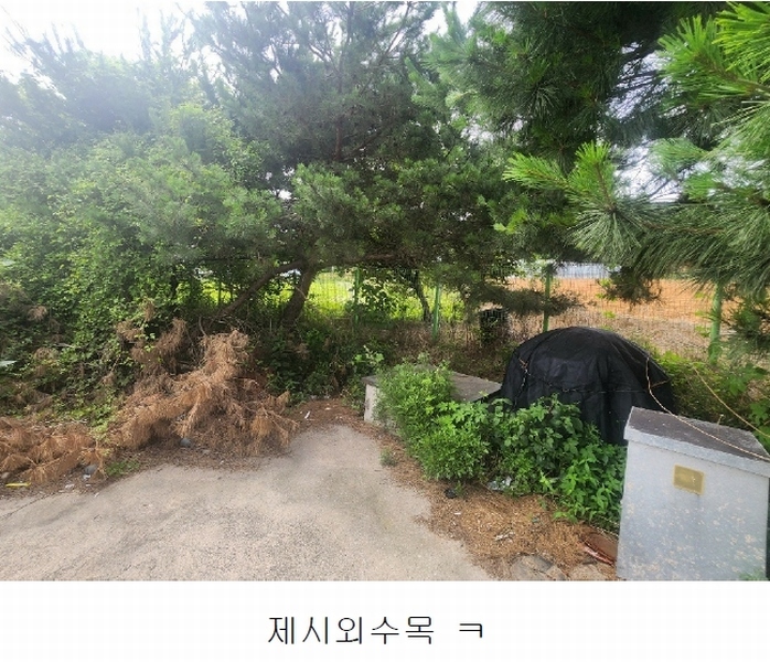 2023타경51531 충청남도 당진시 송악읍 석포리 282-35 공장 경매 이미지