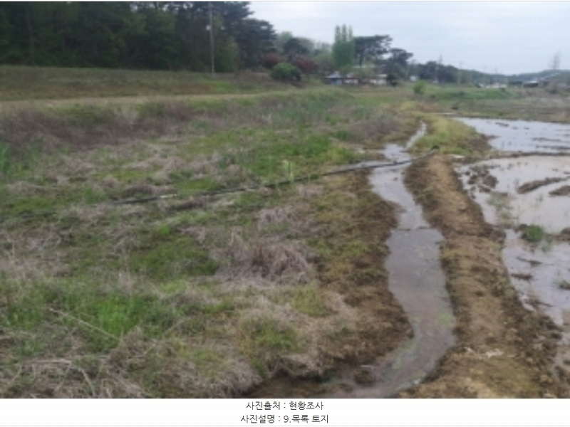 2024타경1243 충청남도 당진시 송악읍 월곡리 112 농지 경매 이미지