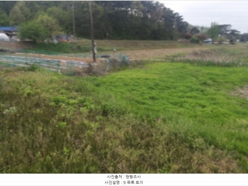2024타경1243 충청남도 당진시 송악읍 월곡리 112 농지 경매 이미지