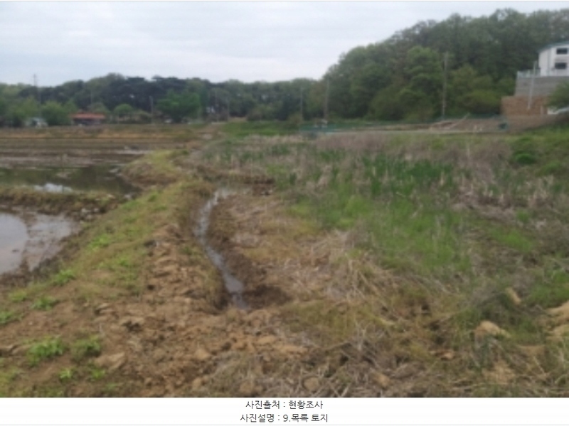 2024타경1243 충청남도 당진시 송악읍 월곡리 112 농지 경매 이미지