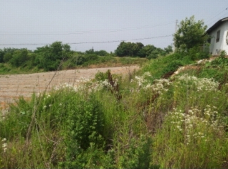 2024타경55271 충청남도 당진시 송악읍 전대리 694-10 임야 경매 이미지