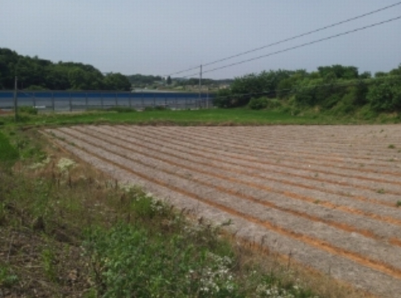 2024타경55271 충청남도 당진시 송악읍 전대리 694-10 임야 경매 이미지