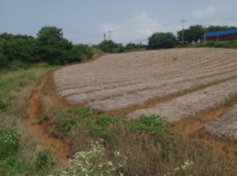 2024타경55271 충청남도 당진시 송악읍 전대리 694-10 임야 경매 이미지
