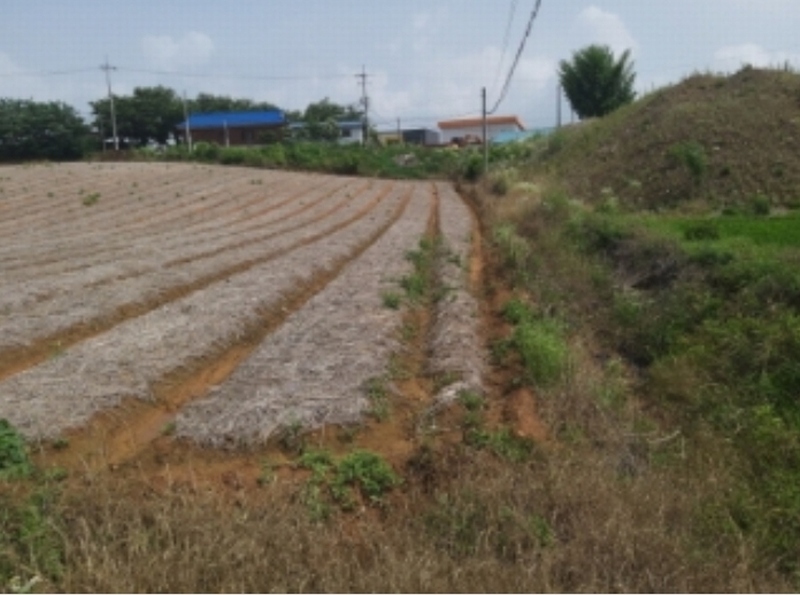 2024타경55271 충청남도 당진시 송악읍 전대리 694-10 임야 경매 이미지