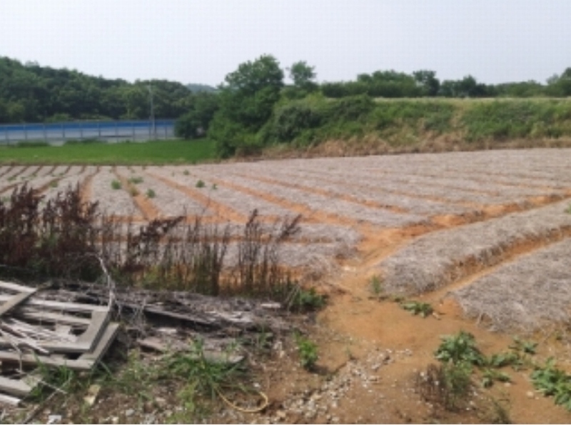 2024타경55271 충청남도 당진시 송악읍 전대리 694-10 임야 경매 이미지