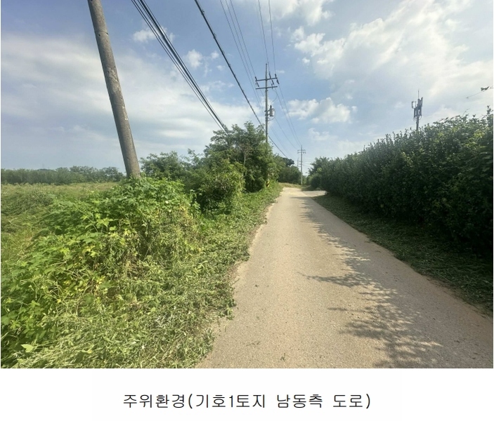2024타경55271 충청남도 당진시 송악읍 전대리 694-10 임야 경매 이미지