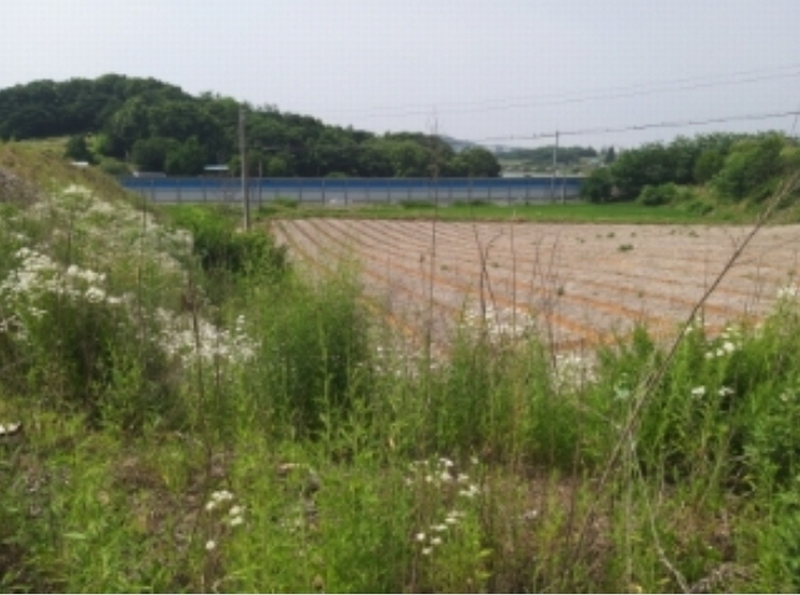 2024타경55271 충청남도 당진시 송악읍 전대리 694-10 임야 경매 이미지