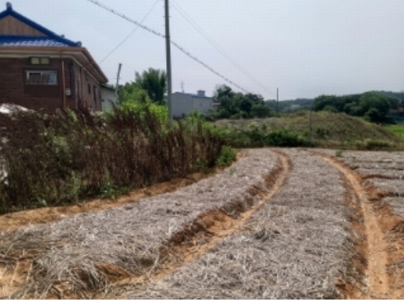 2024타경55271 충청남도 당진시 송악읍 전대리 694-10 임야 경매 이미지