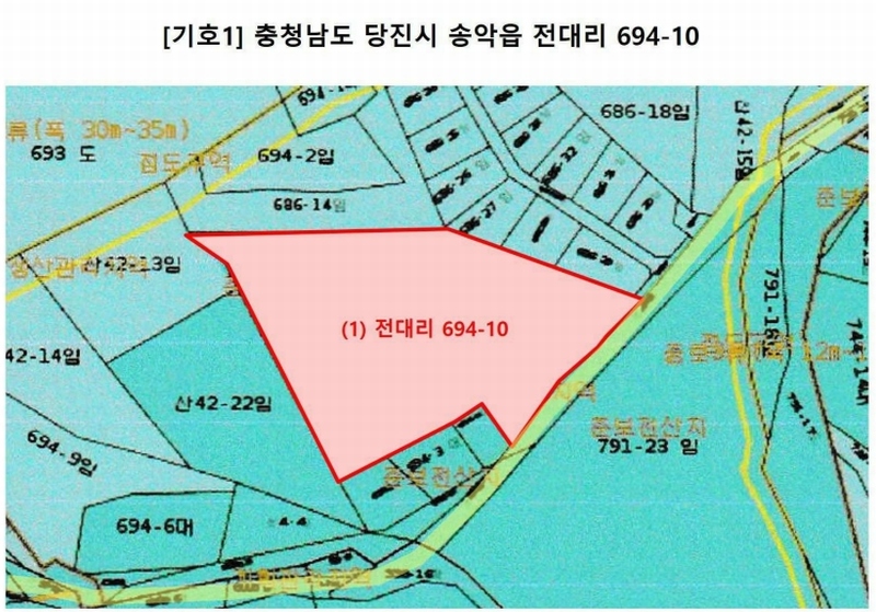 2024타경55271 충청남도 당진시 송악읍 전대리 694-10 임야 경매 이미지