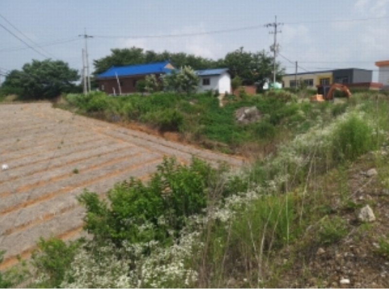 2024타경55271 충청남도 당진시 송악읍 전대리 694-10 임야 경매 이미지