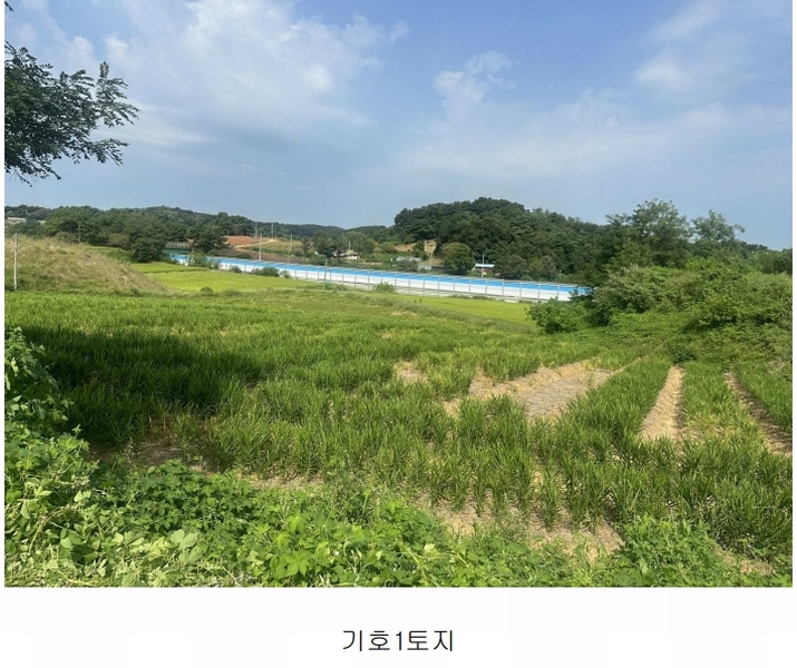 2024타경55271 충청남도 당진시 송악읍 전대리 694-10 임야 경매 이미지