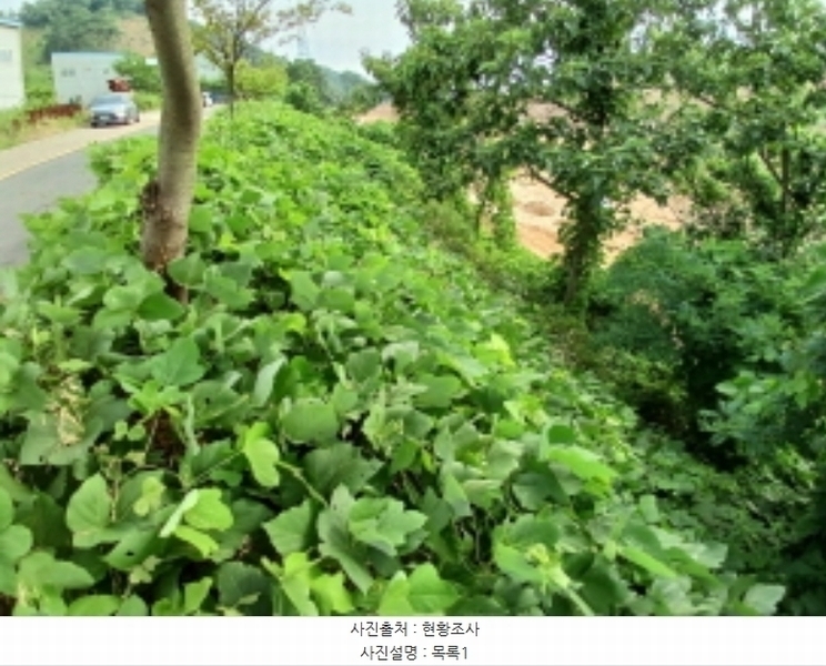 2024타경55295 충청남도 당진시 정미면 천의리 230-1 농지 경매 이미지