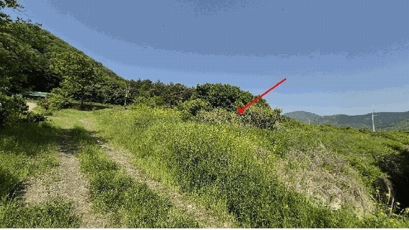 2025타경209 경상남도 창원시 마산합포구 진북면 이목리 363 농지 경매 이미지