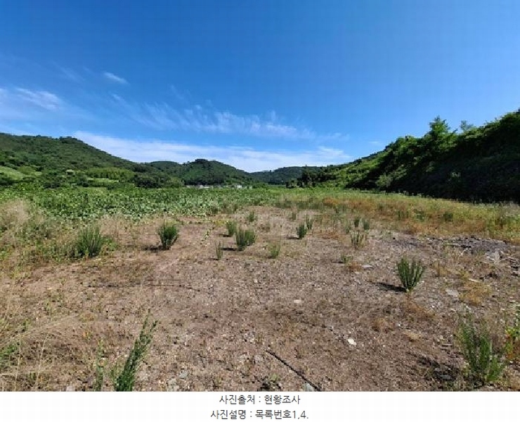 2025타경739 경상남도 사천시 사천읍 두량리 1278-7 임야 경매 이미지