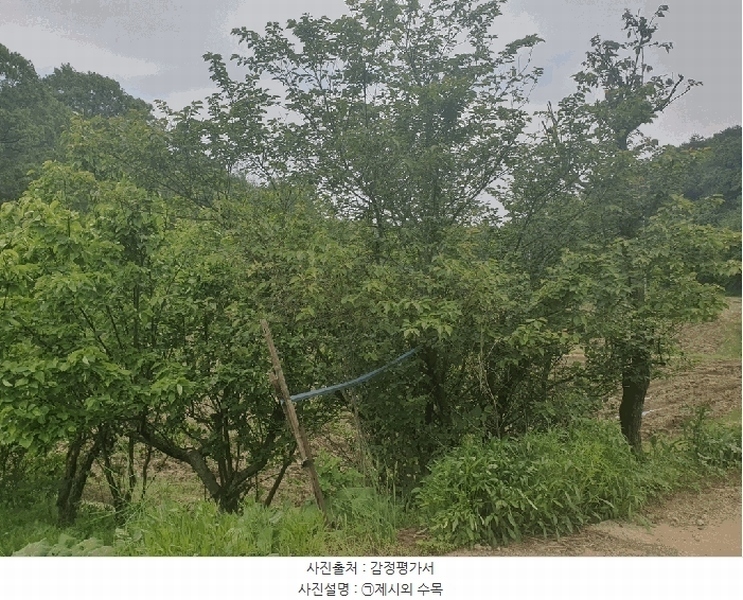 2025타경51318 충청남도 당진시 시곡동 758-2 농지 경매 이미지
