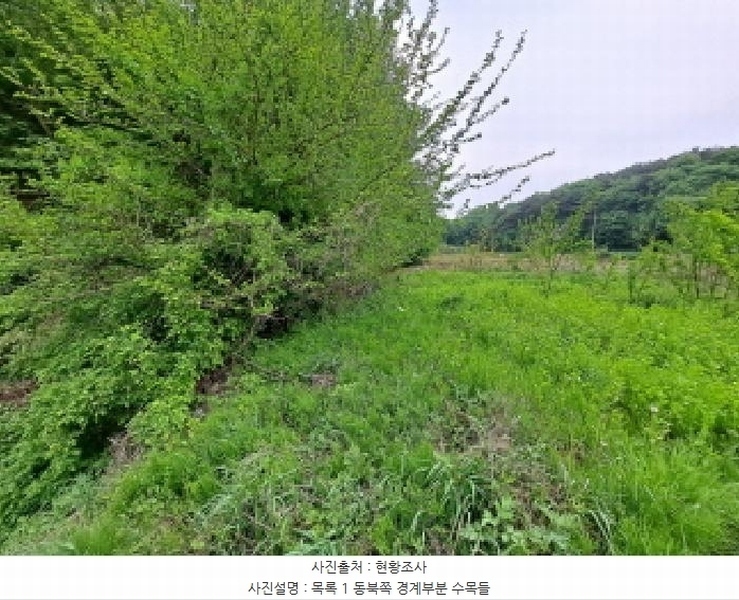 2025타경51318 충청남도 당진시 시곡동 758-2 농지 경매 이미지