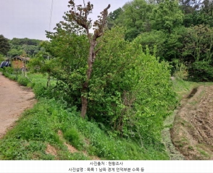 2025타경51318 충청남도 당진시 시곡동 758-2 농지 경매 이미지