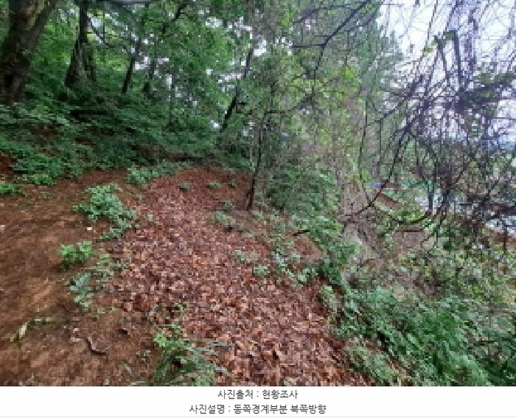 2025타경51329 충청남도 당진시 송산면 당산리 산13-1 임야 경매 이미지