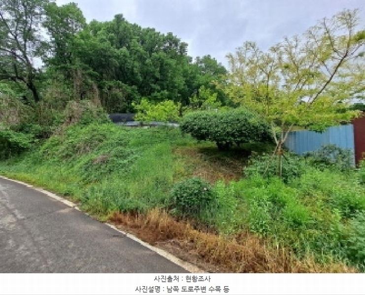 2025타경51329 충청남도 당진시 송산면 당산리 산13-1 임야 경매 이미지