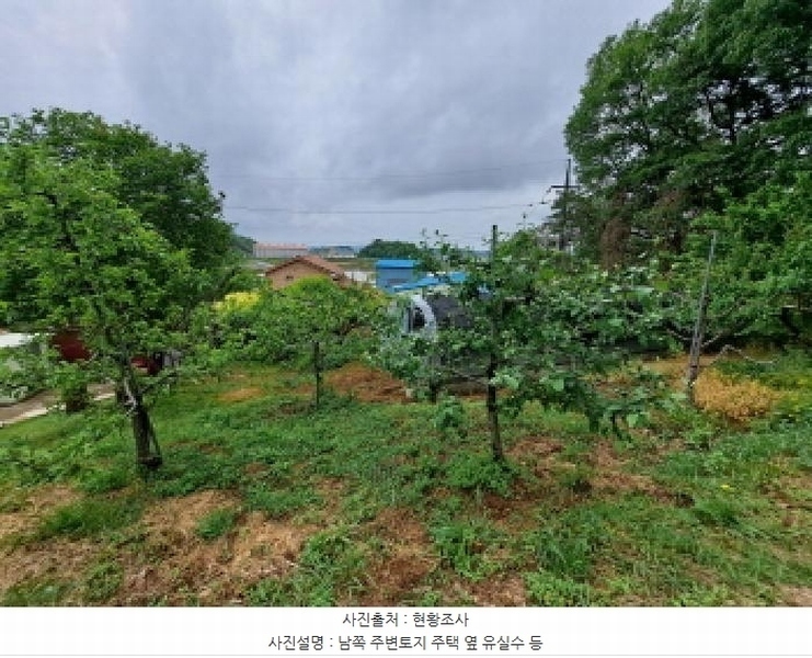 2025타경51329 충청남도 당진시 송산면 당산리 산13-1 임야 경매 이미지