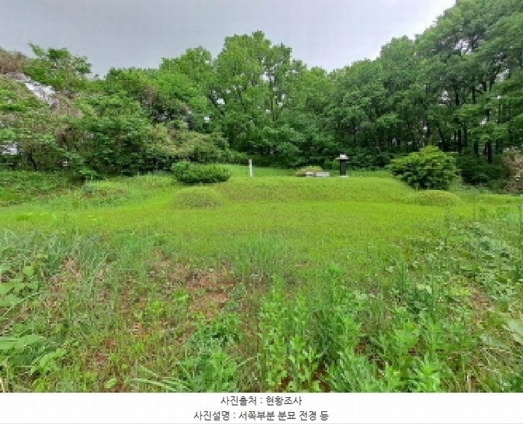 2025타경51329 충청남도 당진시 송산면 당산리 산13-1 임야 경매 이미지