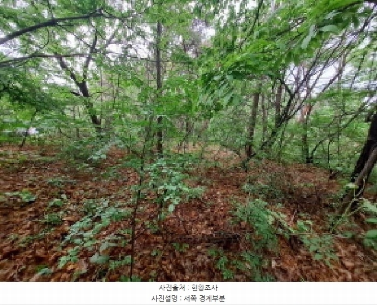 2025타경51329 충청남도 당진시 송산면 당산리 산13-1 임야 경매 이미지
